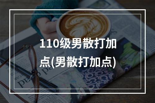 110级男散打加点(男散打加点)