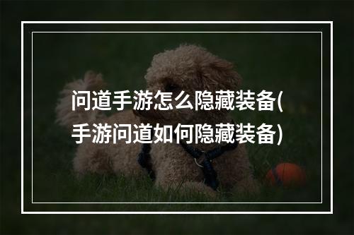 问道手游怎么隐藏装备(手游问道如何隐藏装备)