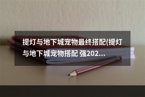 提灯与地下城宠物最终搭配(提灯与地下城宠物搭配 强2022 提灯与地下城宠物搭配推荐)