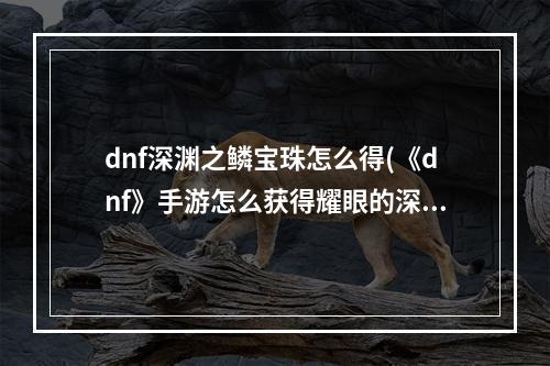 dnf深渊之鳞宝珠怎么得(《dnf》手游怎么获得耀眼的深渊宝珠 耀眼的深渊宝珠获得)