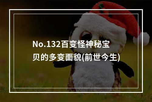 No.132百变怪神秘宝贝的多变面貌(前世今生)