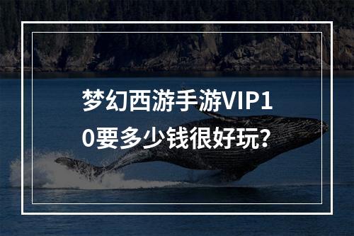 梦幻西游手游VIP10要多少钱很好玩？