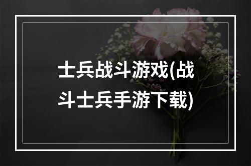 士兵战斗游戏(战斗士兵手游下载)