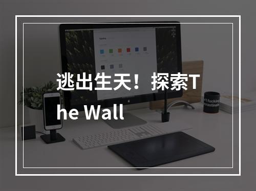 逃出生天！探索The Wall