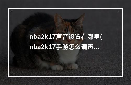 nba2k17声音设置在哪里(nba2k17手游怎么调声音)