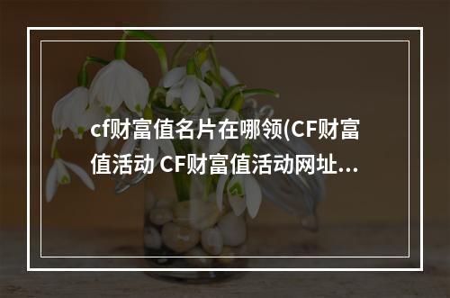 cf财富值名片在哪领(CF财富值活动 CF财富值活动网址)