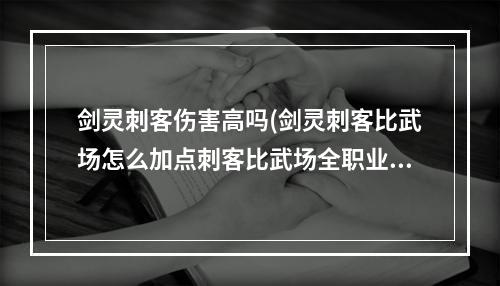 剑灵刺客伤害高吗(剑灵刺客比武场怎么加点刺客比武场全职业加点方案)