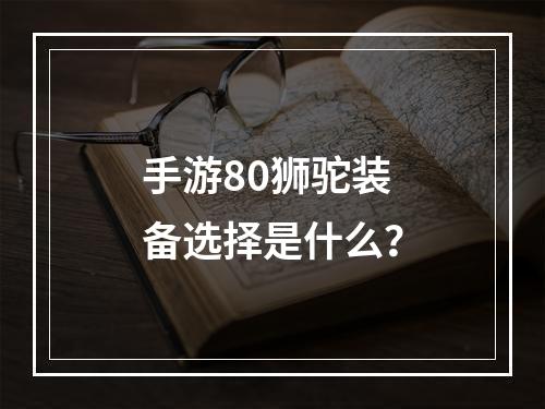 手游80狮驼装备选择是什么？