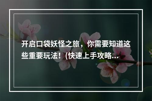 开启口袋妖怪之旅，你需要知道这些重要玩法！(快速上手攻略)