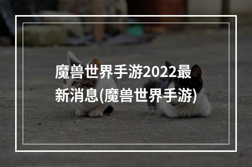 魔兽世界手游2022最新消息(魔兽世界手游)