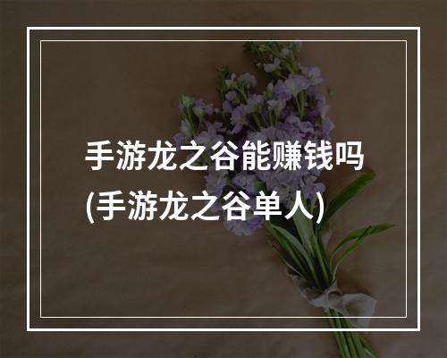 手游龙之谷能赚钱吗(手游龙之谷单人)