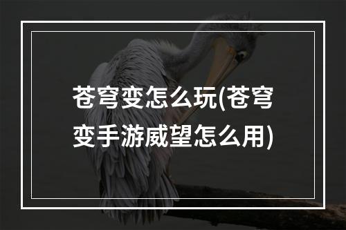 苍穹变怎么玩(苍穹变手游威望怎么用)