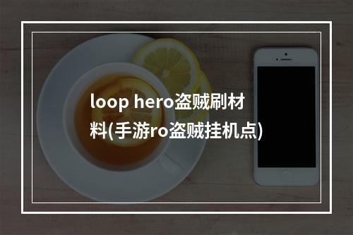 loop hero盗贼刷材料(手游ro盗贼挂机点)