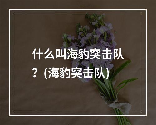 什么叫海豹突击队？(海豹突击队)