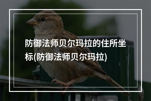 防御法师贝尔玛拉的住所坐标(防御法师贝尔玛拉)