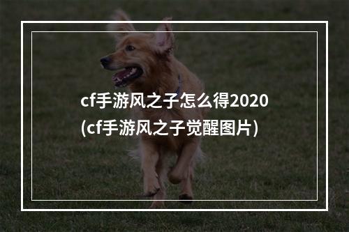 cf手游风之子怎么得2020(cf手游风之子觉醒图片)