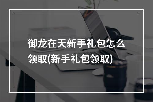 御龙在天新手礼包怎么领取(新手礼包领取)