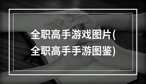 全职高手游戏图片(全职高手手游图鉴)