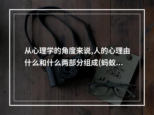 从心理学的角度来说,人的心理由什么和什么两部分组成(蚂蚁庄园从心理学角度看 蚂蚁庄园今日答案最新)