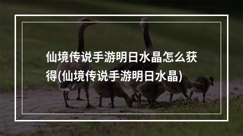 仙境传说手游明日水晶怎么获得(仙境传说手游明日水晶)