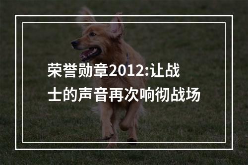 荣誉勋章2012:让战士的声音再次响彻战场