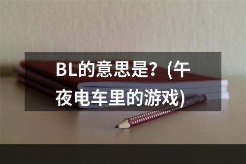 BL的意思是？(午夜电车里的游戏)