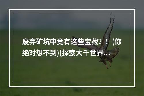 废弃矿坑中竟有这些宝藏？！(你绝对想不到)(探索大千世界废弃矿坑藏着什么秘密？)