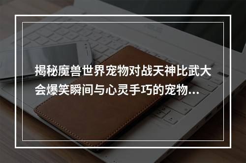 揭秘魔兽世界宠物对战天神比武大会爆笑瞬间与心灵手巧的宠物训练