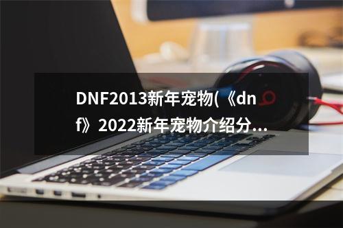 DNF2013新年宠物(《dnf》2022新年宠物介绍分享 )