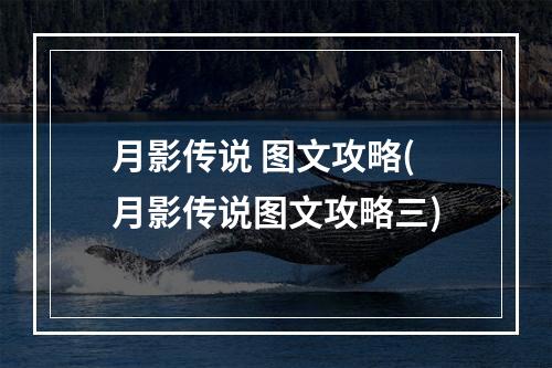 月影传说 图文攻略(月影传说图文攻略三)