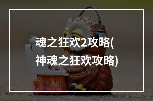 魂之狂欢2攻略(神魂之狂欢攻略)