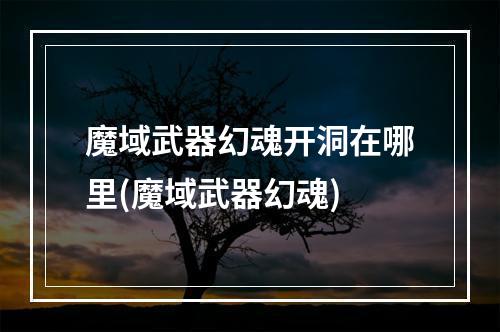 魔域武器幻魂开洞在哪里(魔域武器幻魂)