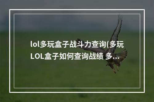 lol多玩盒子战斗力查询(多玩LOL盒子如何查询战绩 多玩lol盒子战绩查询方法)