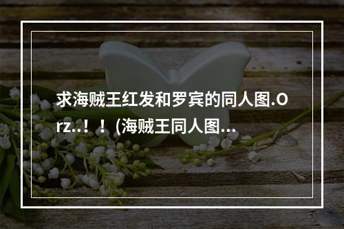 求海贼王红发和罗宾的同人图.Orz..！！(海贼王同人图)