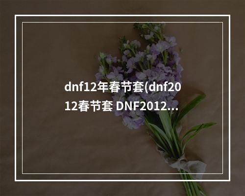 dnf12年春节套(dnf2012春节套 DNF2012春节礼包内容)