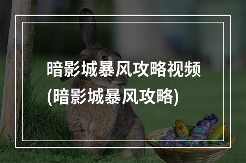 暗影城暴风攻略视频(暗影城暴风攻略)