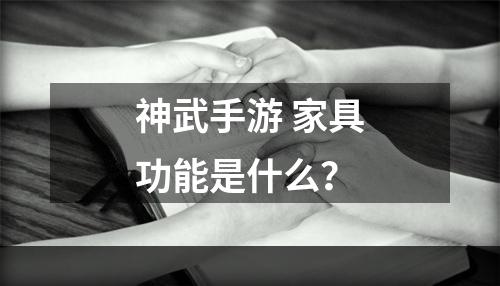 神武手游 家具功能是什么？