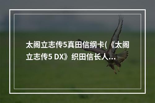 太阁立志传5真田信纲卡(《太阁立志传5 DX》织田信长人物卡获取攻略 太阁立志传)