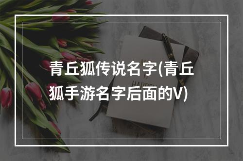 青丘狐传说名字(青丘狐手游名字后面的V)