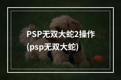 PSP无双大蛇2操作(psp无双大蛇)