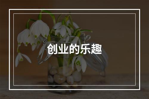 创业的乐趣