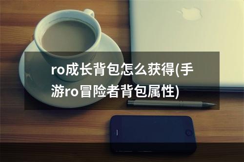 ro成长背包怎么获得(手游ro冒险者背包属性)