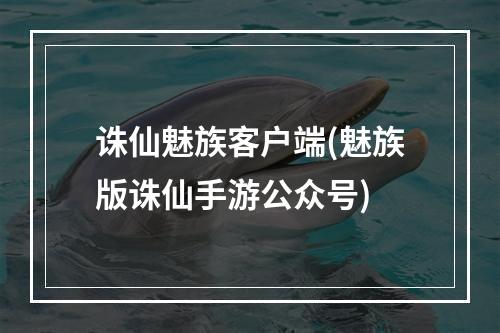 诛仙魅族客户端(魅族版诛仙手游公众号)