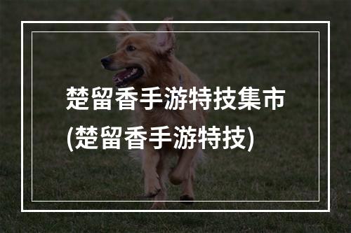 楚留香手游特技集市(楚留香手游特技)