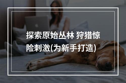 探索原始丛林 狩猎惊险刺激(为新手打造)