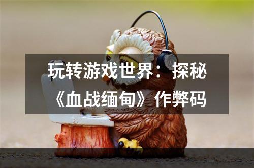 玩转游戏世界：探秘《血战缅甸》作弊码