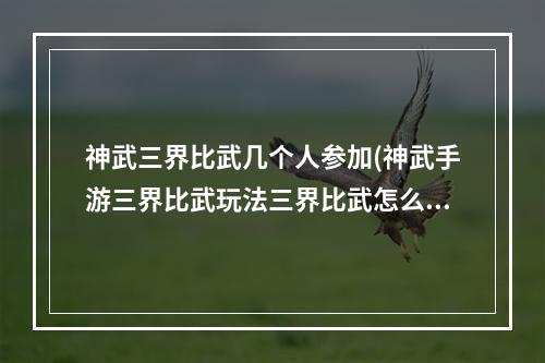 神武三界比武几个人参加(神武手游三界比武玩法三界比武怎么参加)