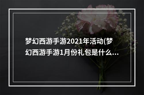 梦幻西游手游2021年活动(梦幻西游手游1月份礼包是什么意思)