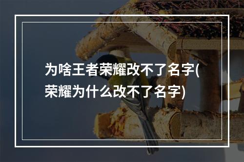 为啥王者荣耀改不了名字(荣耀为什么改不了名字)