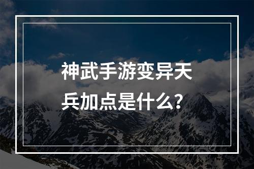 神武手游变异天兵加点是什么？